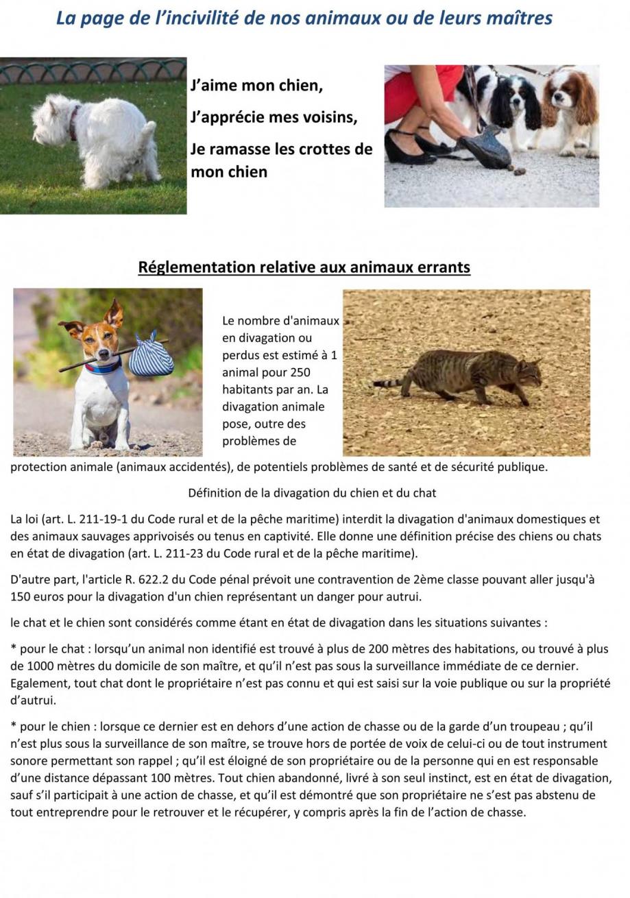 Divagation des chiens