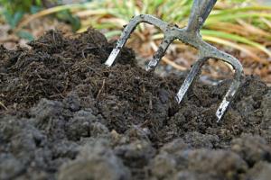 Lacleweb compost