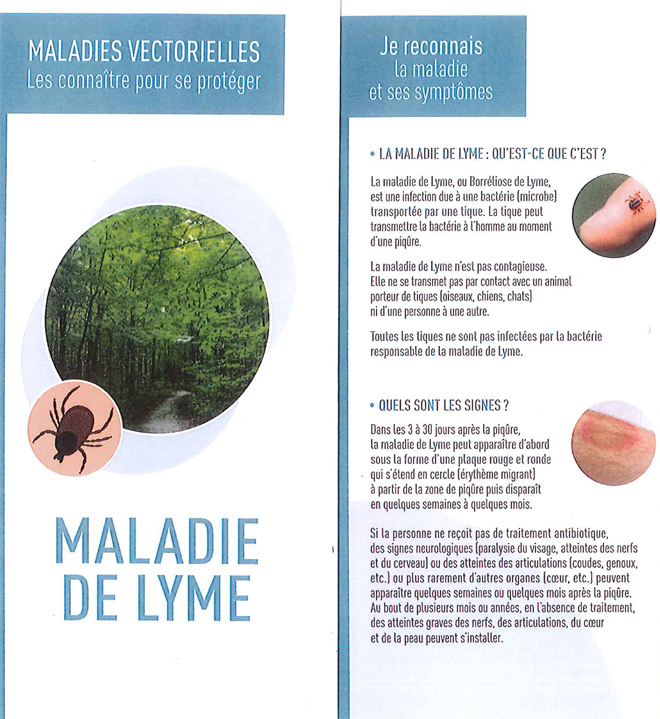 Maladies vectorielles 1