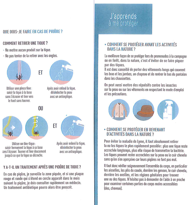 Maladies vectorielles 2